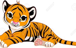Résultat Petits Tigres 2016/2017
