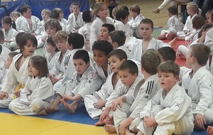 Nos petits judokas à Saint Hilaire du Harcouet
