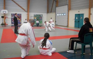 Coco en combat
