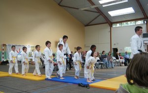 L'entrée des Judokas