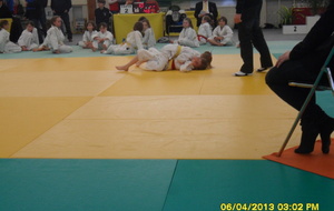 5162bfd0ea9e3_SAM3393.JPG