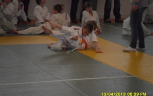 516be8a78f0e2_SAM3449.JPG